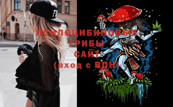 синтетический гашиш Богородицк
