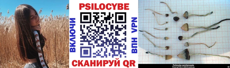 ОМГ ОМГ сайт  купить наркотик  Дубна  Псилоцибиновые грибы мухоморы 